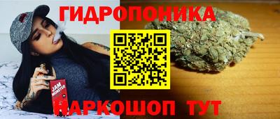 прущие крисы Малгобек
